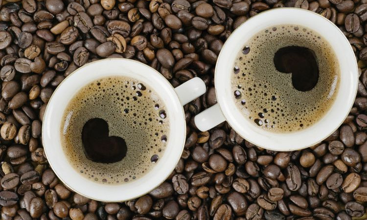 Pengertian, Jarak Tanam dan Cara Budidaya kopi Arabika